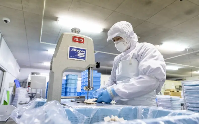 白衣とマスクを着用した作業員が機械を操作し食品加工を行っている様子