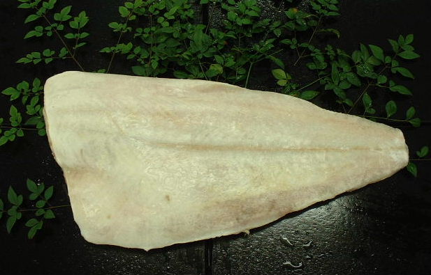 オヒョウ（陸凍結品）