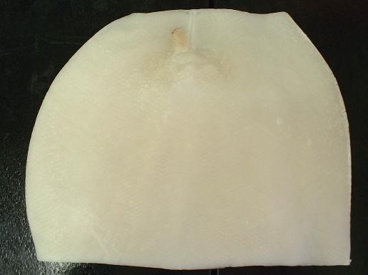 ムラサキイカ（アメリカオオアカイカ）